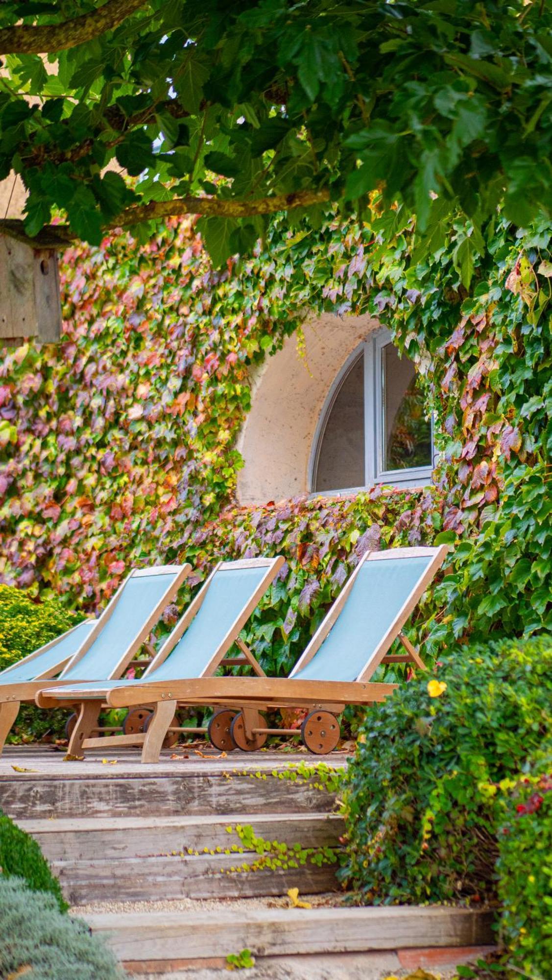 Bed and Breakfast Propriete Le Monneton Sainte-Christie Zewnętrze zdjęcie